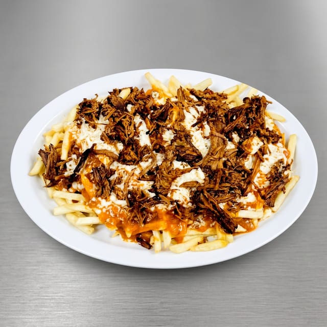 Birria fries LG.