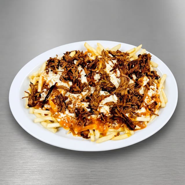 Birria fries Sm.